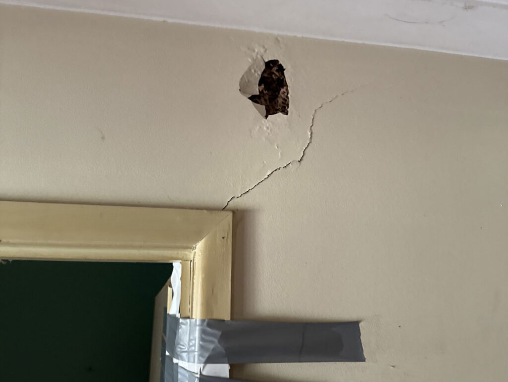 Visual Termite Damage Located