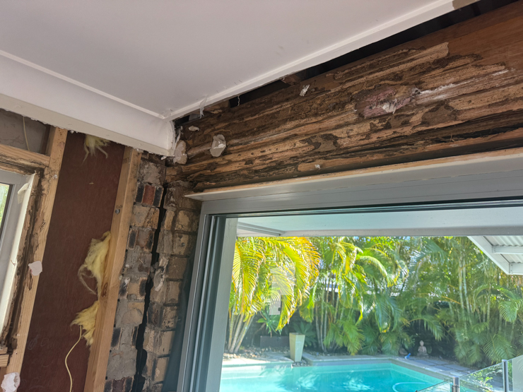 Structural termite damage above door openings and into corners