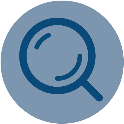 Termite Damage Process - Inspections