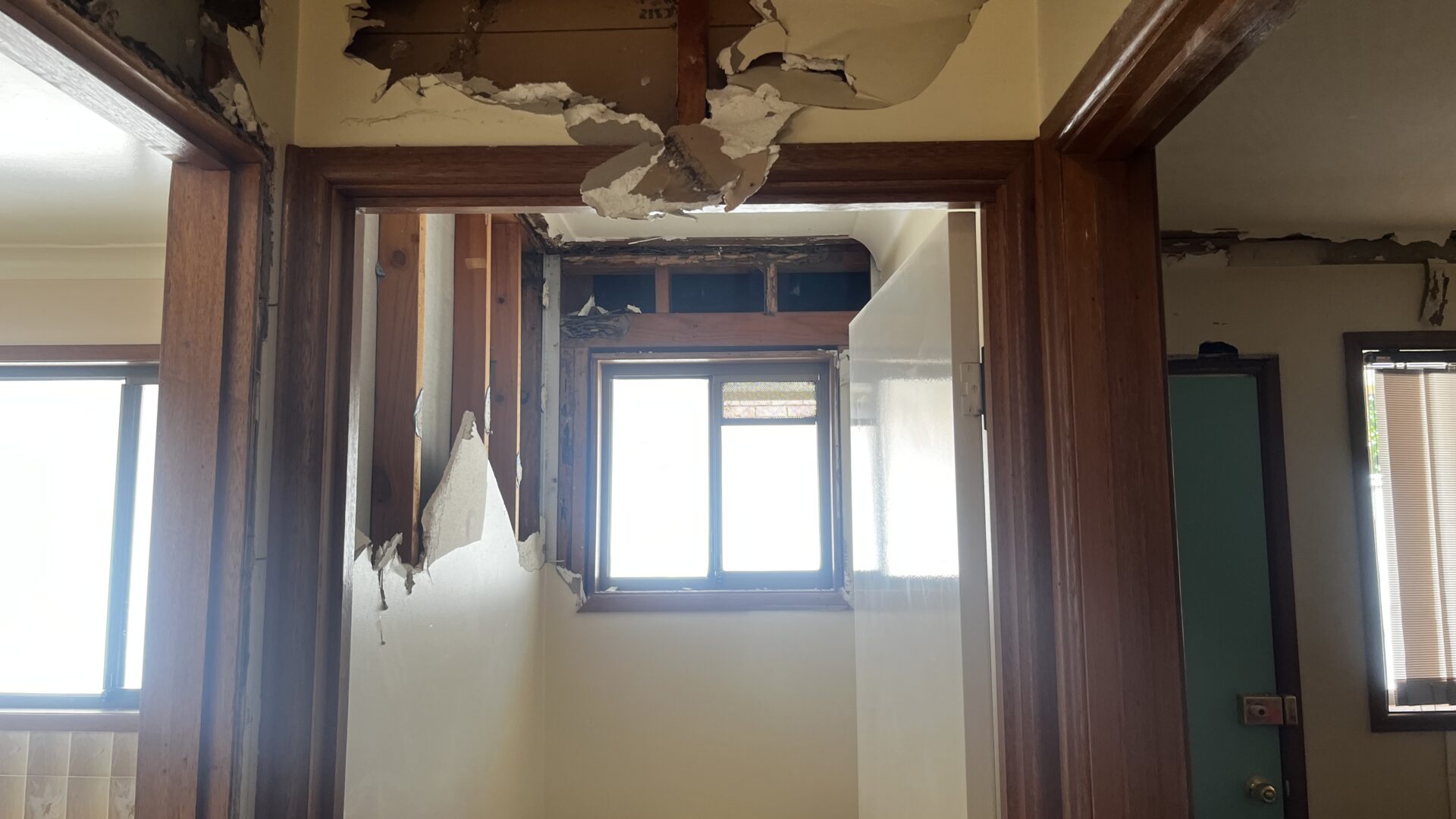 termite damage repairs