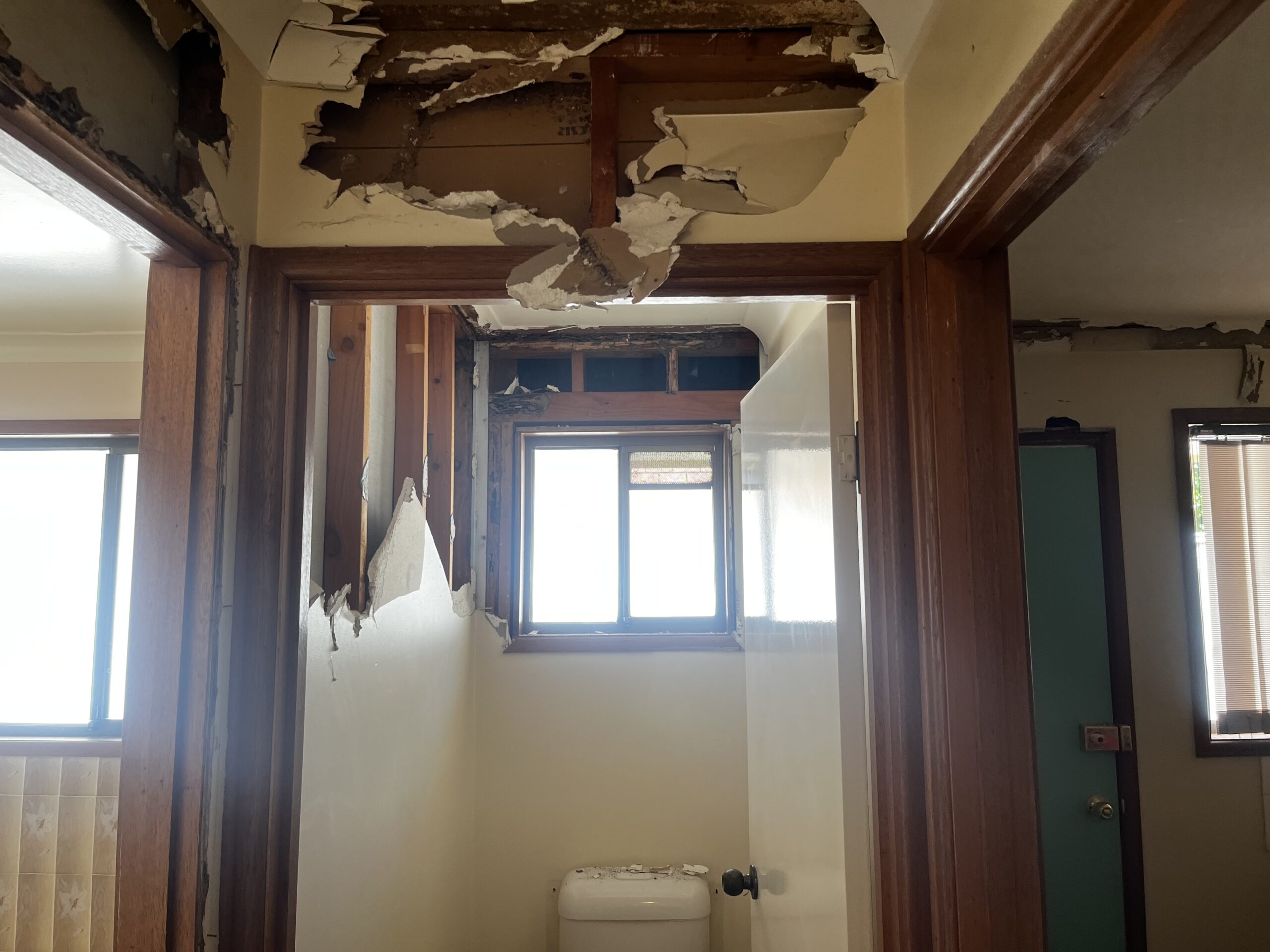 termite damage repairs