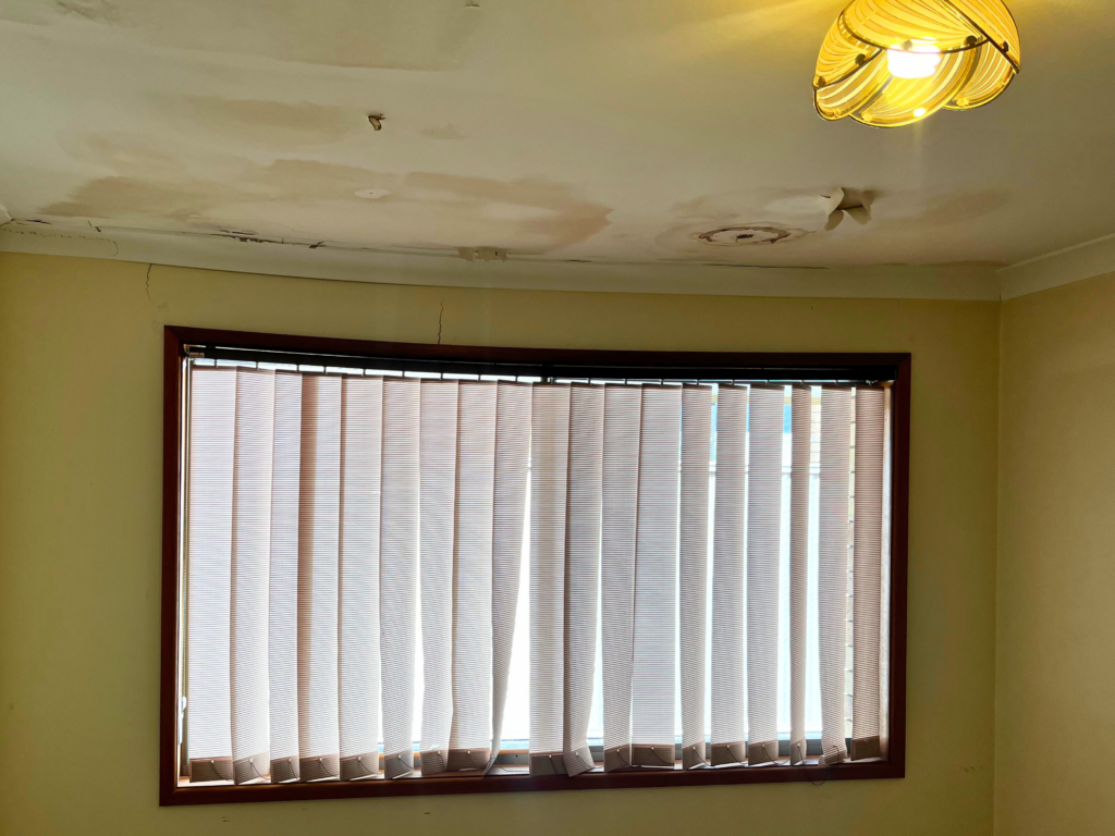 Comprehensive guide on how to tell if termite damage is structural in a residential home.